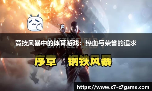 竞技风暴中的体育游戏：热血与荣誉的追求